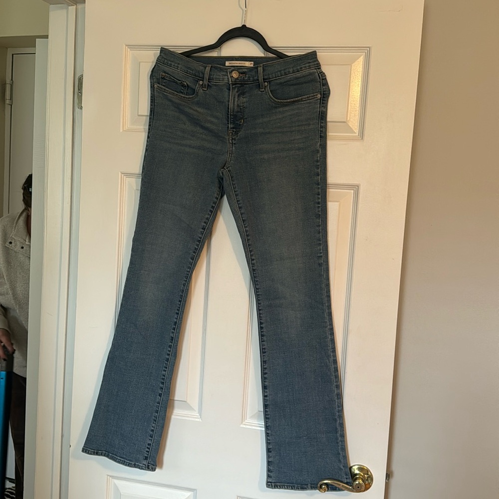 Levy 315 Shaping Boot Cut